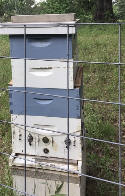 CD750085-C7DB-46B0-989A-BEA7BF671D49