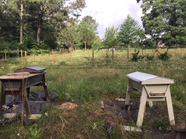 F806D732-5266-4E40-8CA4-233FB3E56EC8