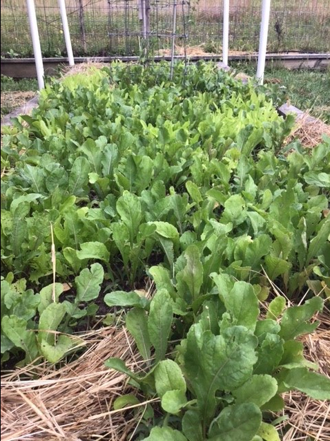 FDB9D919-80CC-44AB-8C1B-6BD39293E36C