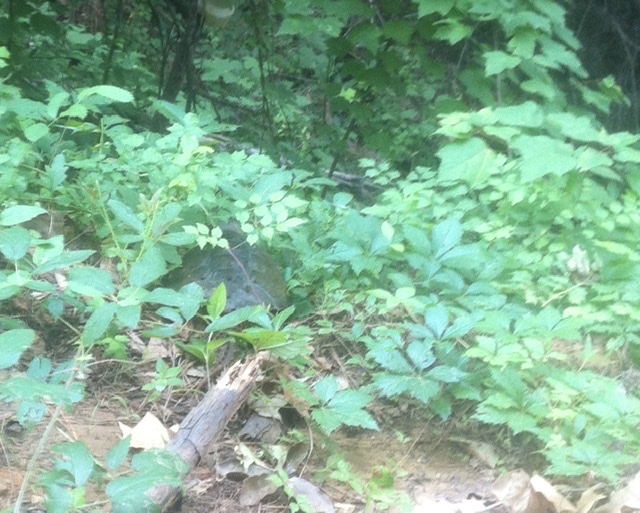 FEBD65E1-02B4-451F-A834-C4E5EB63DF58