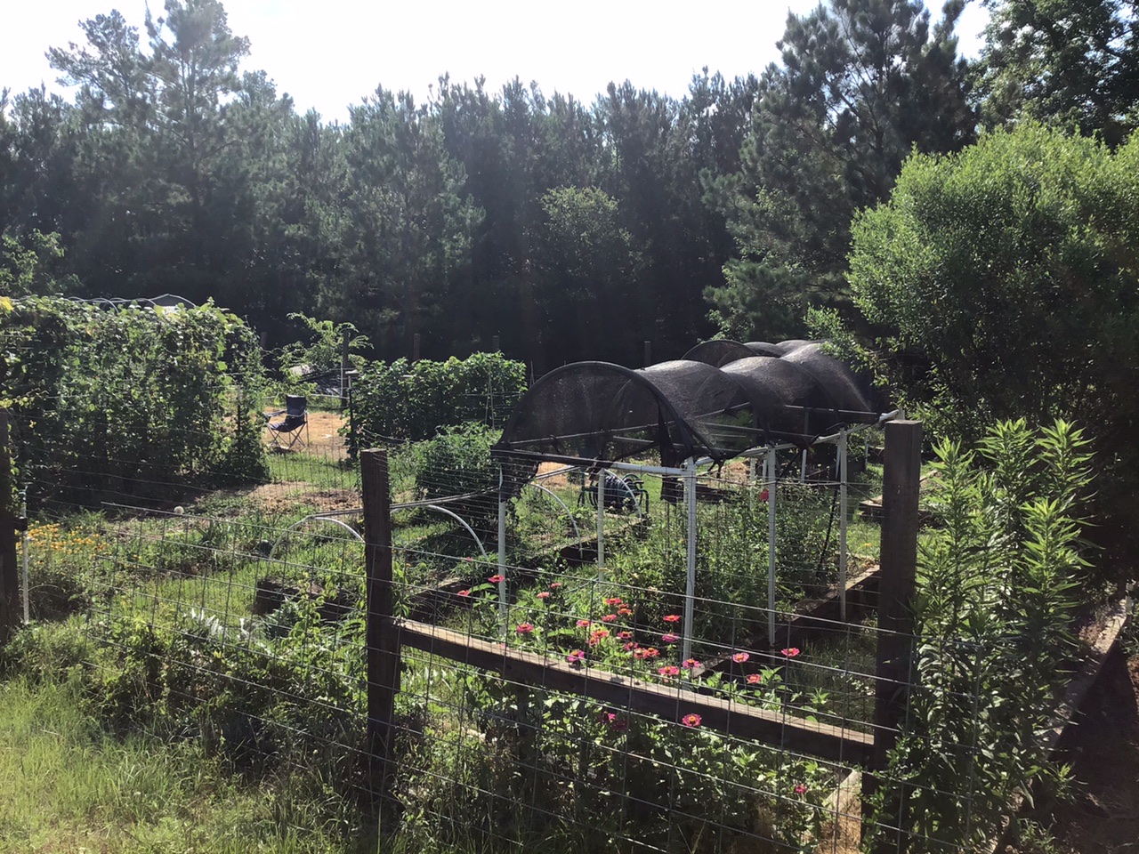 983A3DC3-92EA-4C6B-9CC7-5BEFEDE67165