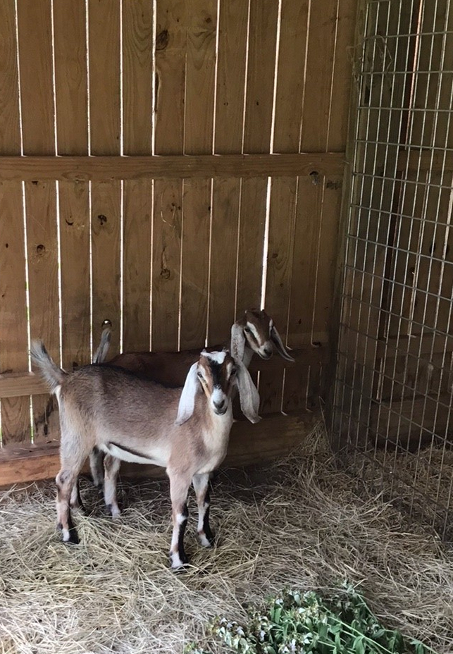 BCE36E22-7DE6-4598-8054-7BE4AEFECDC7