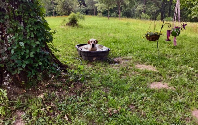 C1A8ACB5-5AEE-4A9E-BBFB-34A814157FB8