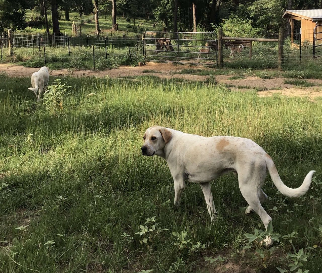 E0104634-506A-4450-8FE7-50C6A1DBA400