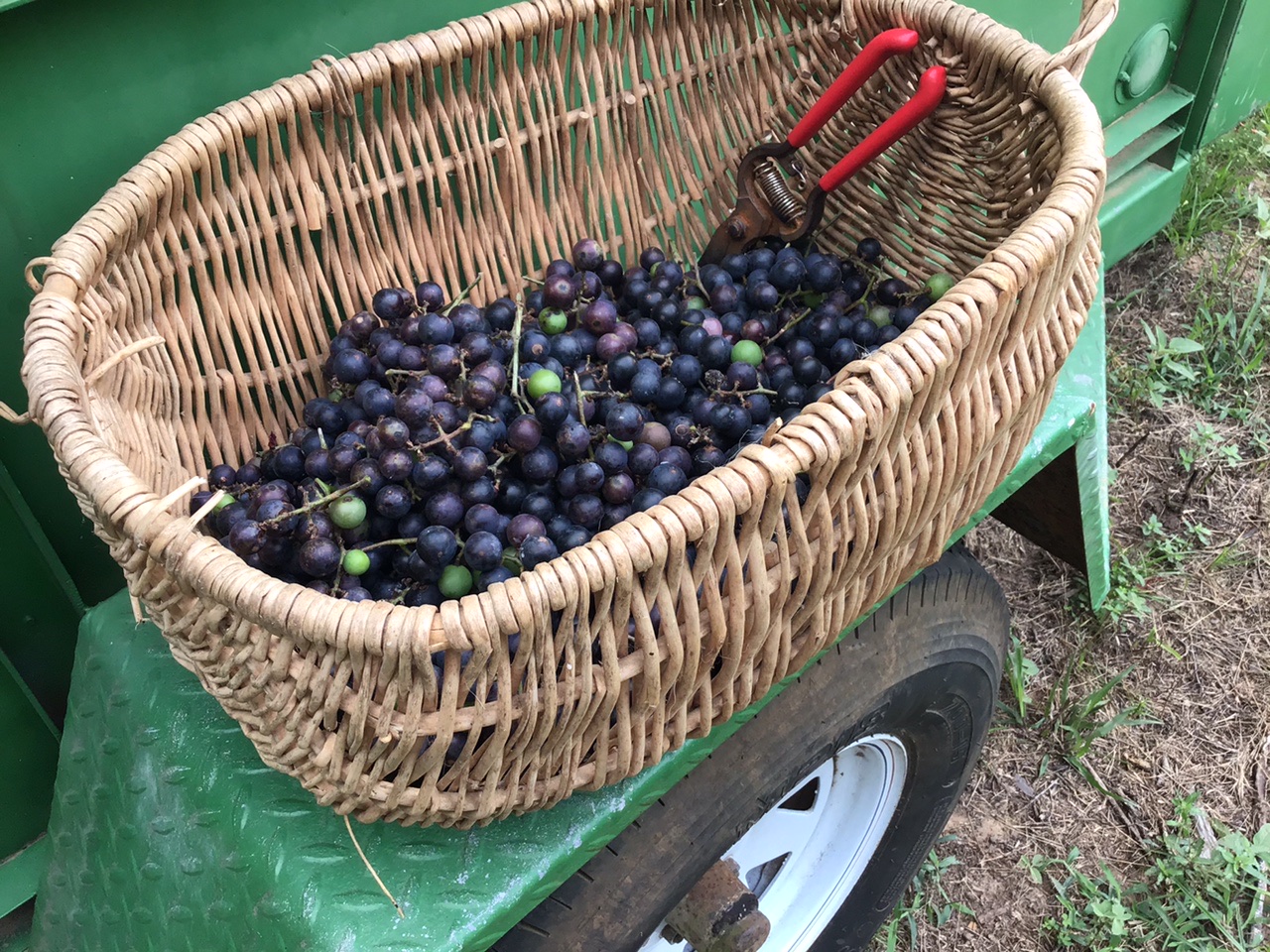 FA8A9895-0A91-4EF0-86CA-2A845B726E97