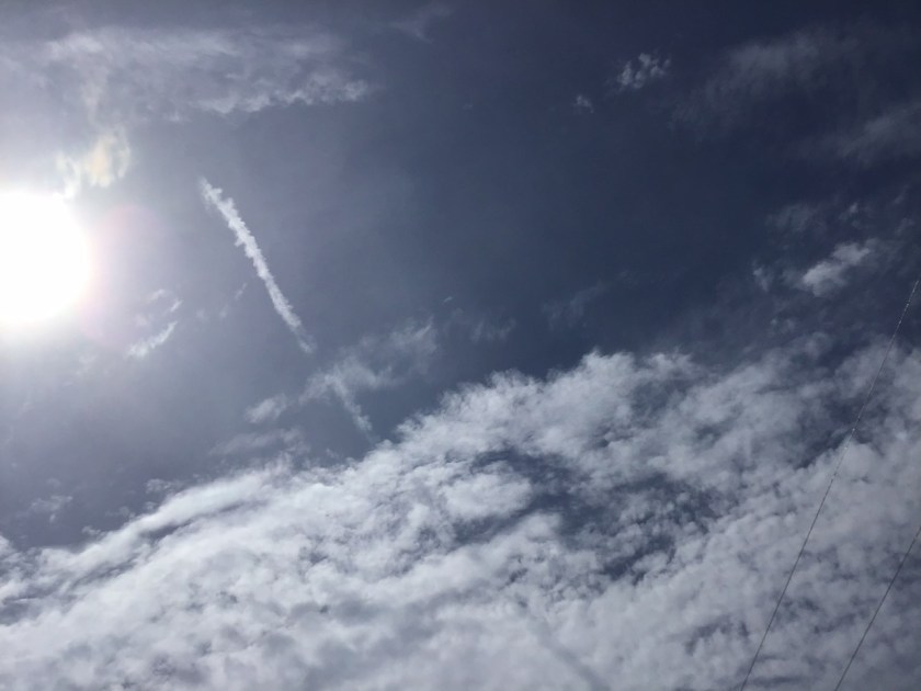 11E1F226-CAD1-4699-A40E-47870C96D6F4