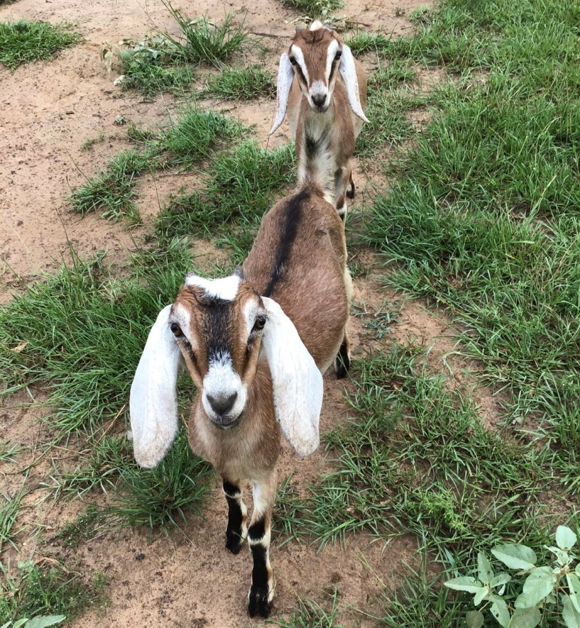 22DBB9EA-1095-4FA5-988E-F49E3D986C99