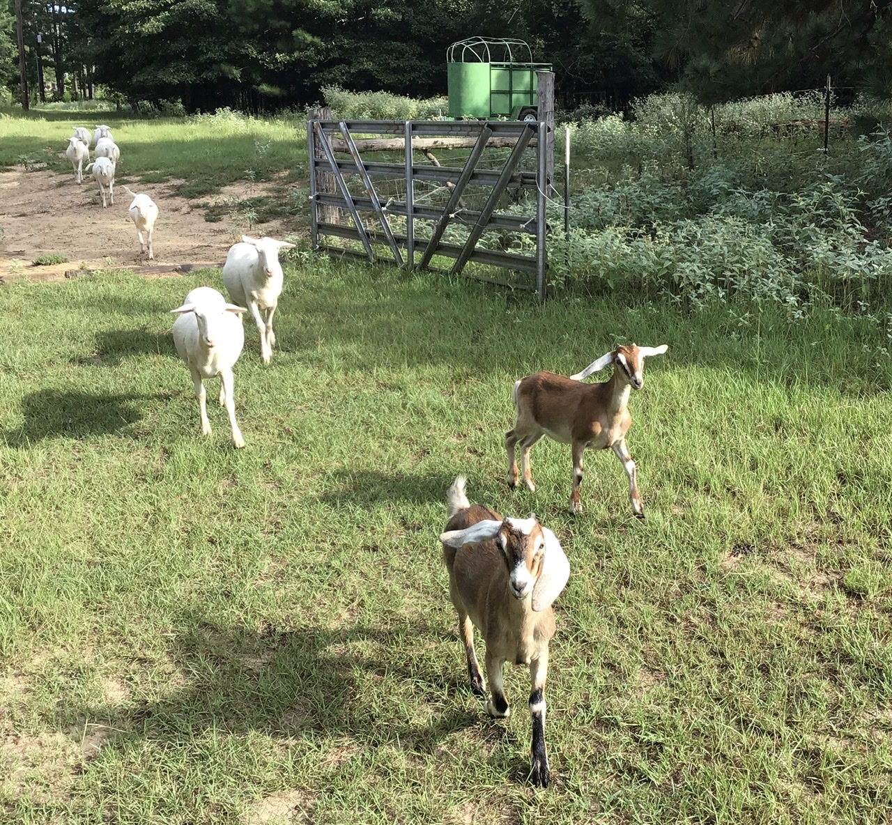 6DCFBCBD-D7EB-4DA6-9822-1213CF4D5FFF