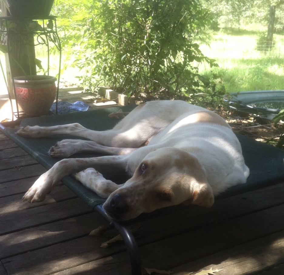 A329B1EB-EA23-4085-ADB3-8C58A8CFE35B