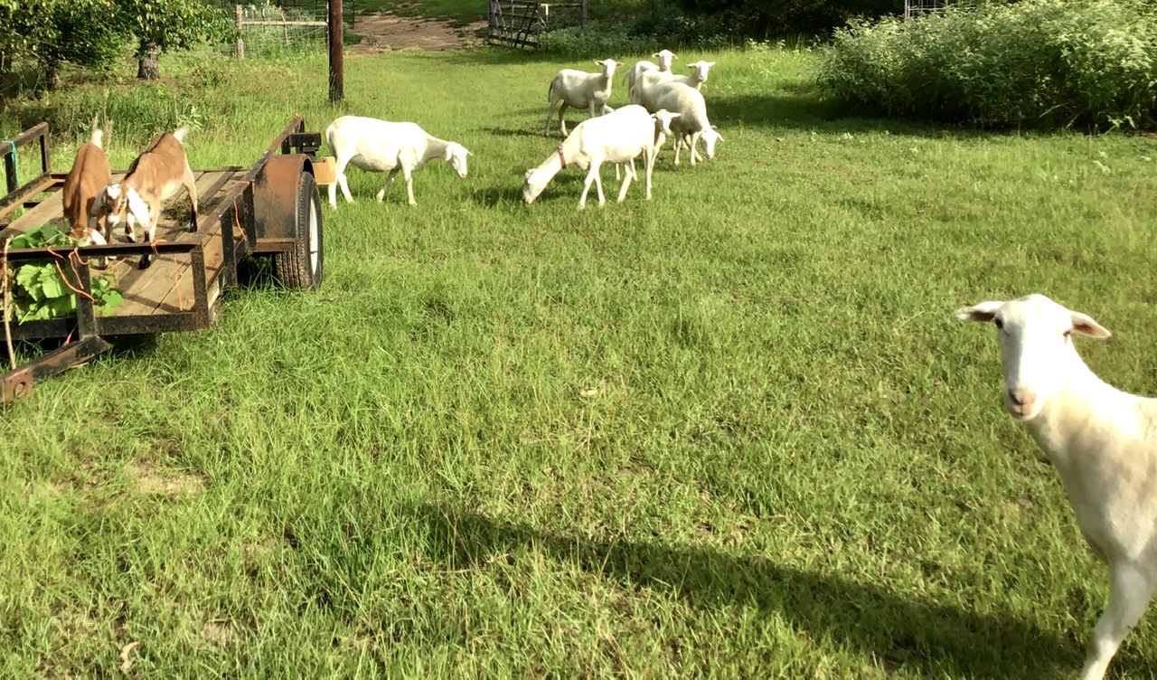 F347C12B-F962-4160-BA62-A49C02956E64