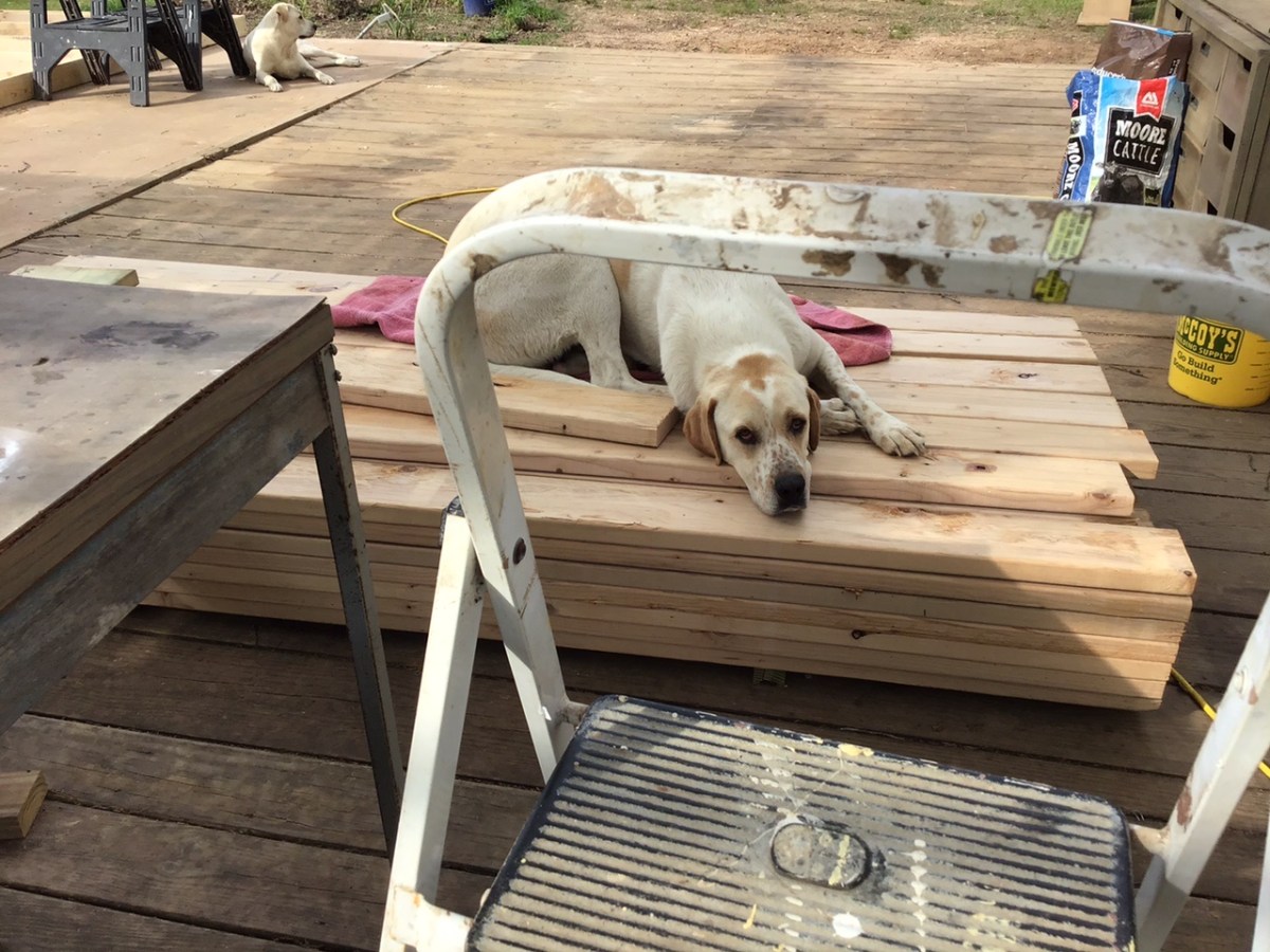 Homestead Happenings