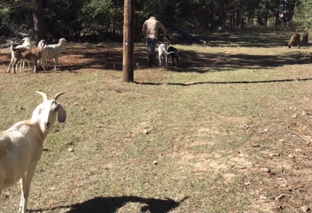 All’s Well That Ends&nbsp;Well