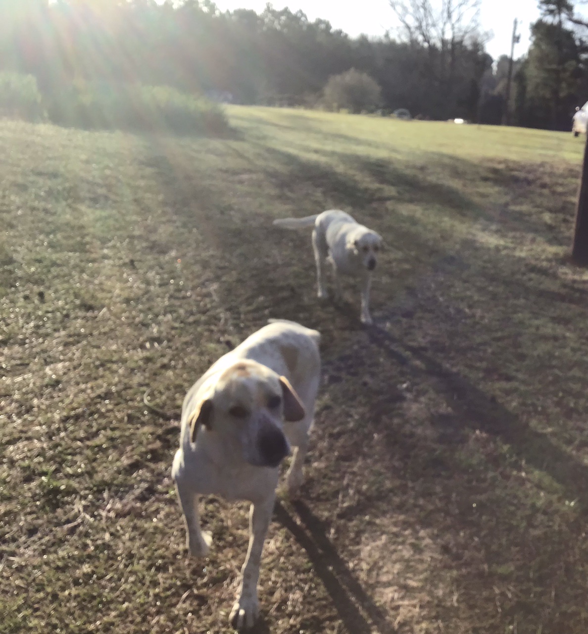 Homestead Happenings