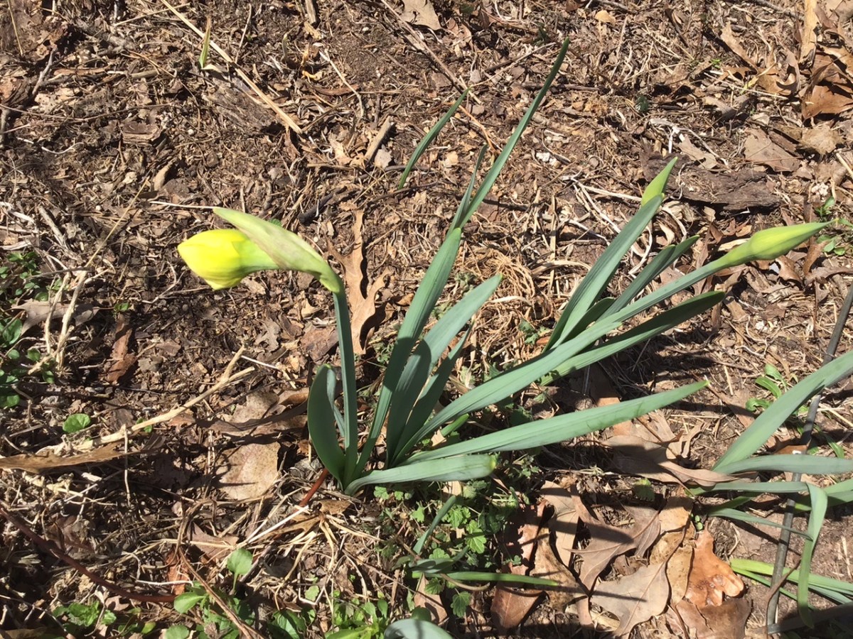 Homestead Happenings