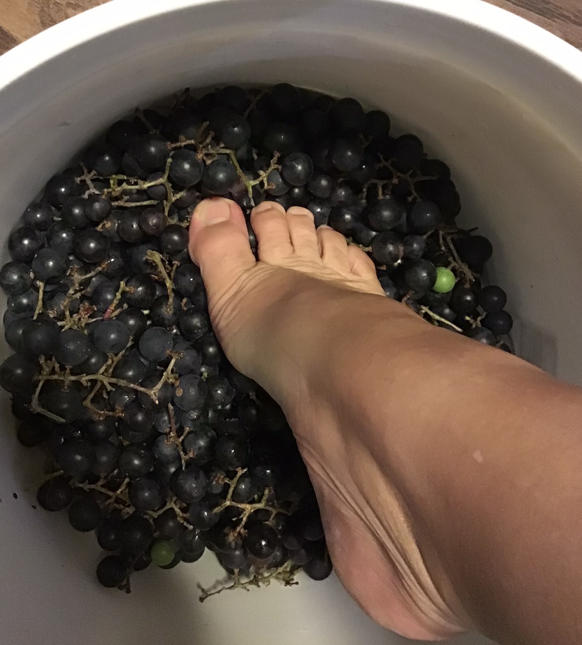 Homestead Happenings