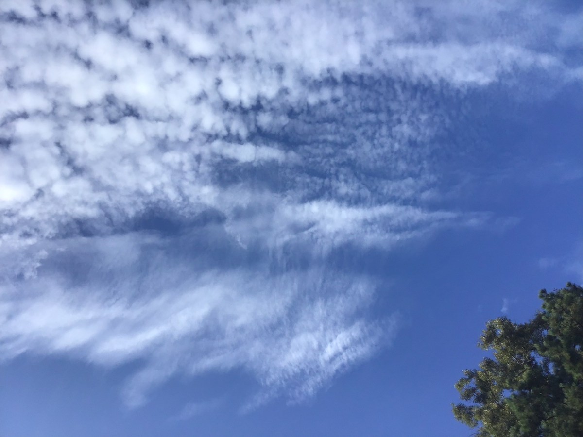 Homestead Happenings