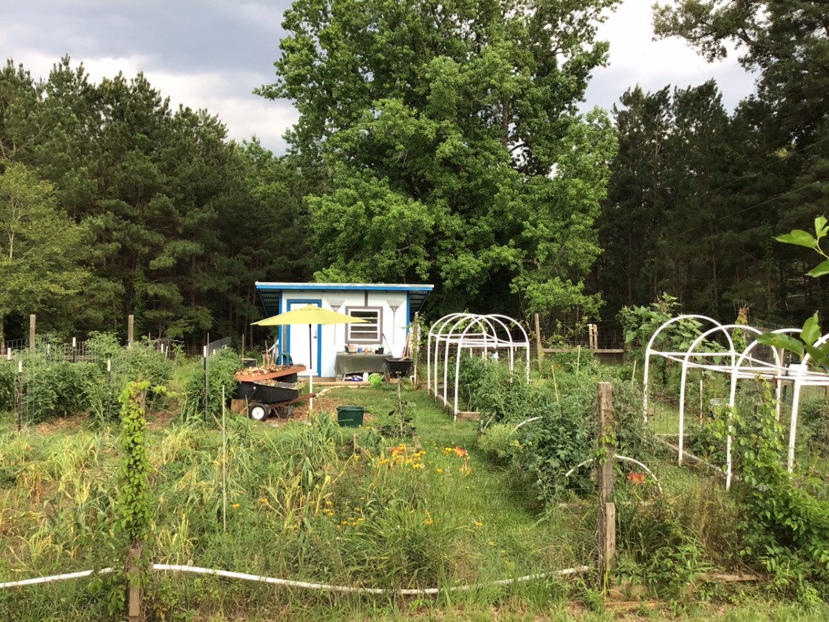 Homestead Happenings