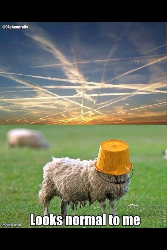 Geoengineering Update