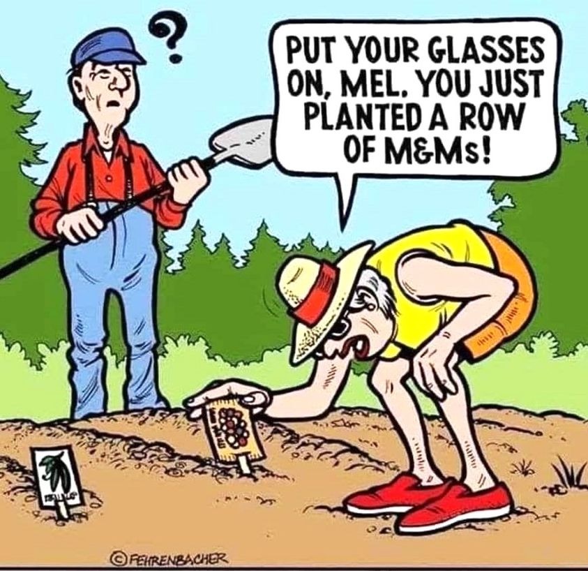 Homestead Happenings