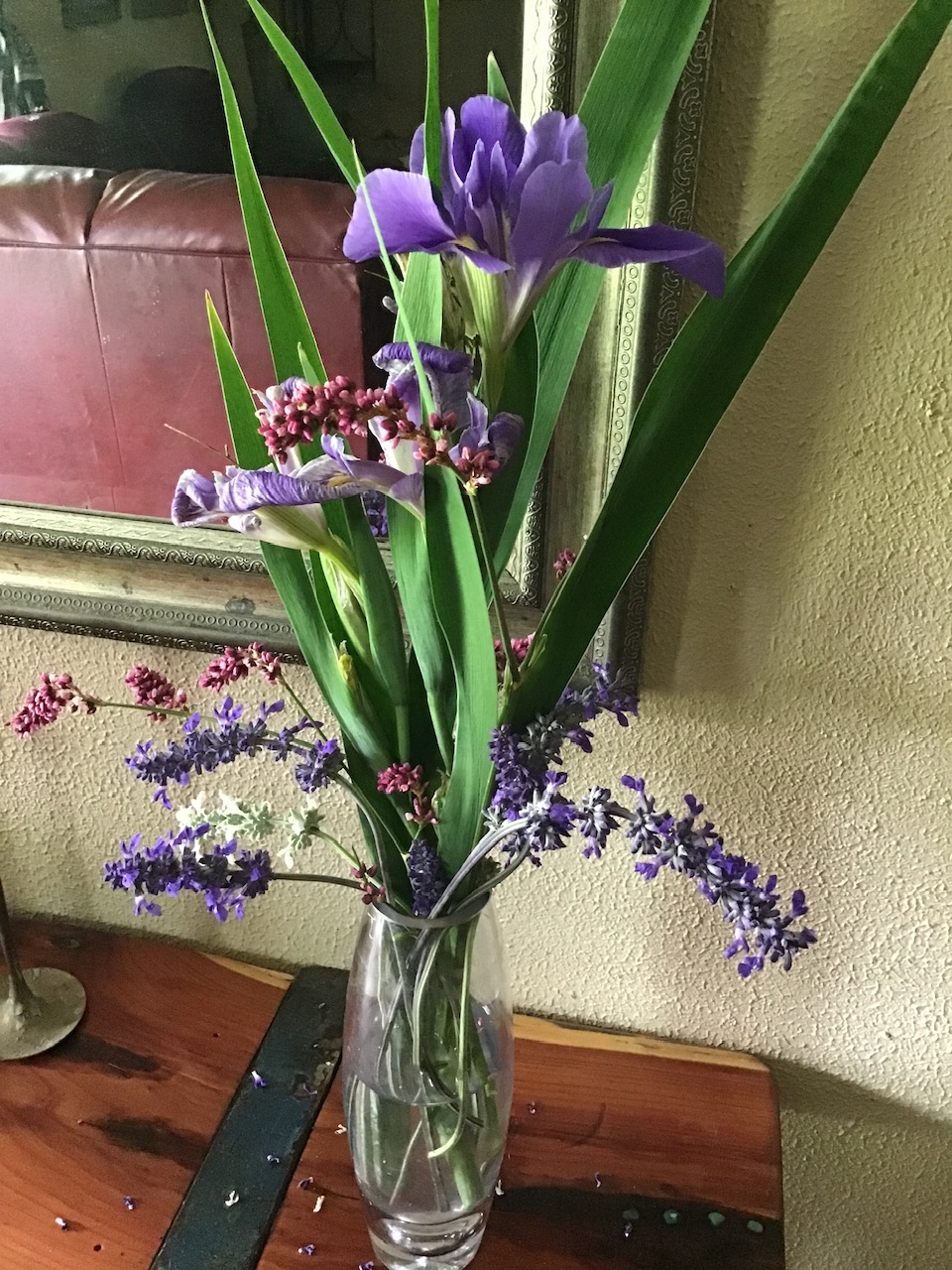 Homestead Happenings