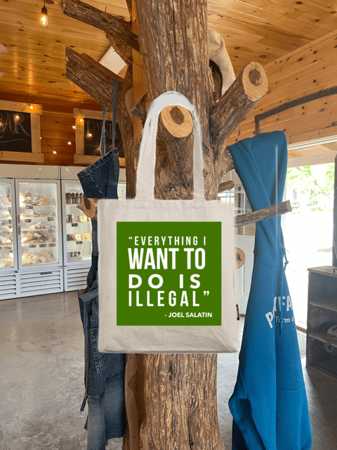 Starting From Scratch