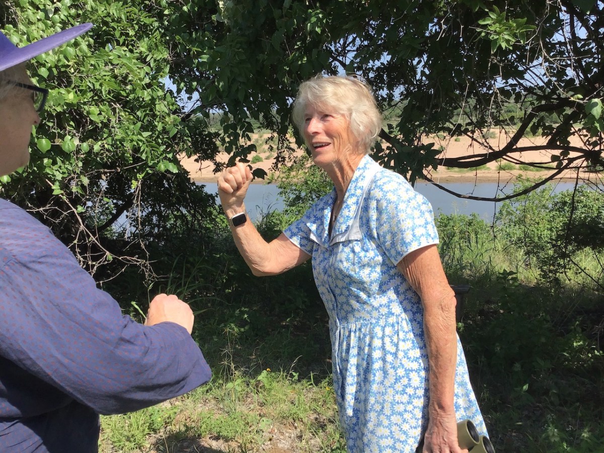 Between Intrepid and&nbsp;Genteel