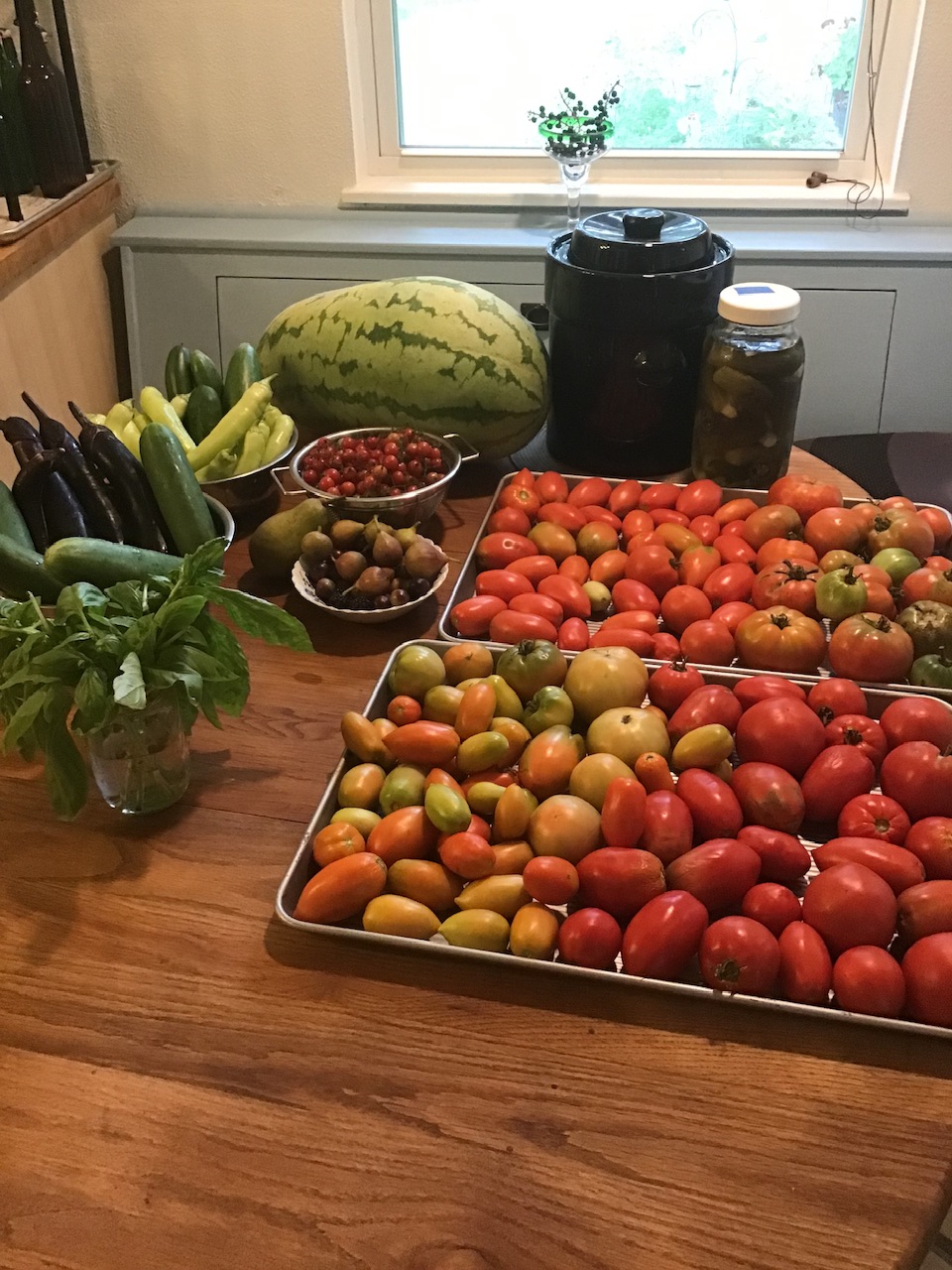 Homestead Happenings